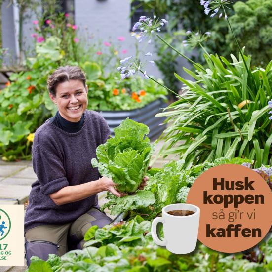 Grøntsager året rundt v/ Yen Frydensberg Egebak