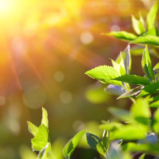 Dage med reduceret betjening