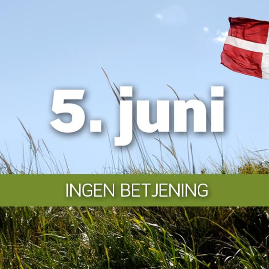 Grundlovsdag er der åbent med selvbetjening på alle fem biblioteker fra kl. 7-22.