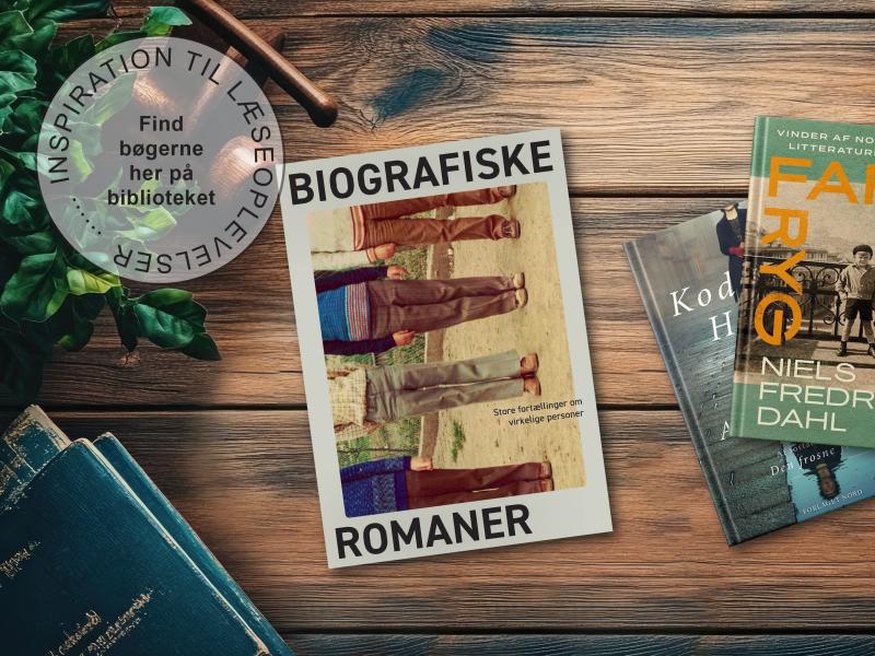 Biografiske romaner