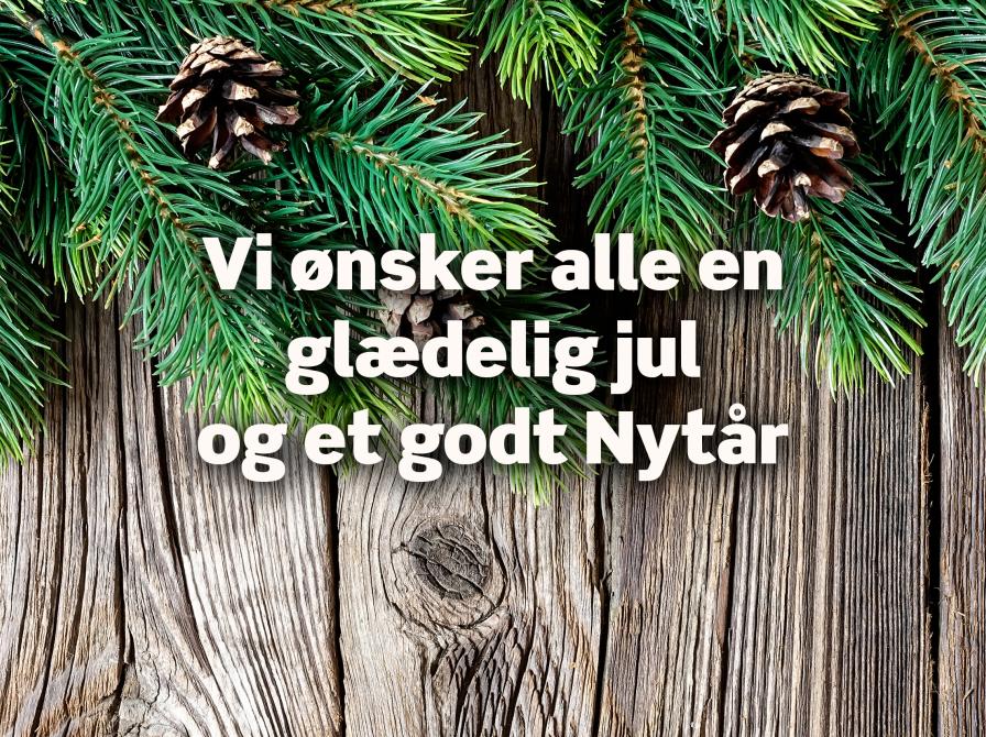 Vi ønsker alle en glædelig jul og et godt Nytår