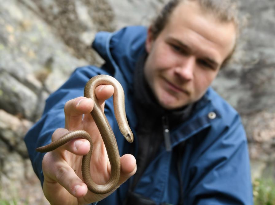 Naturtryl med Gustav Urth