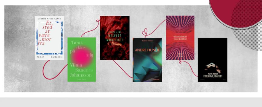 Seks danske debutromaner fra året, der gik